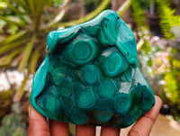 Polished Flower Banded Malachite Free Forms x 4 From Congo