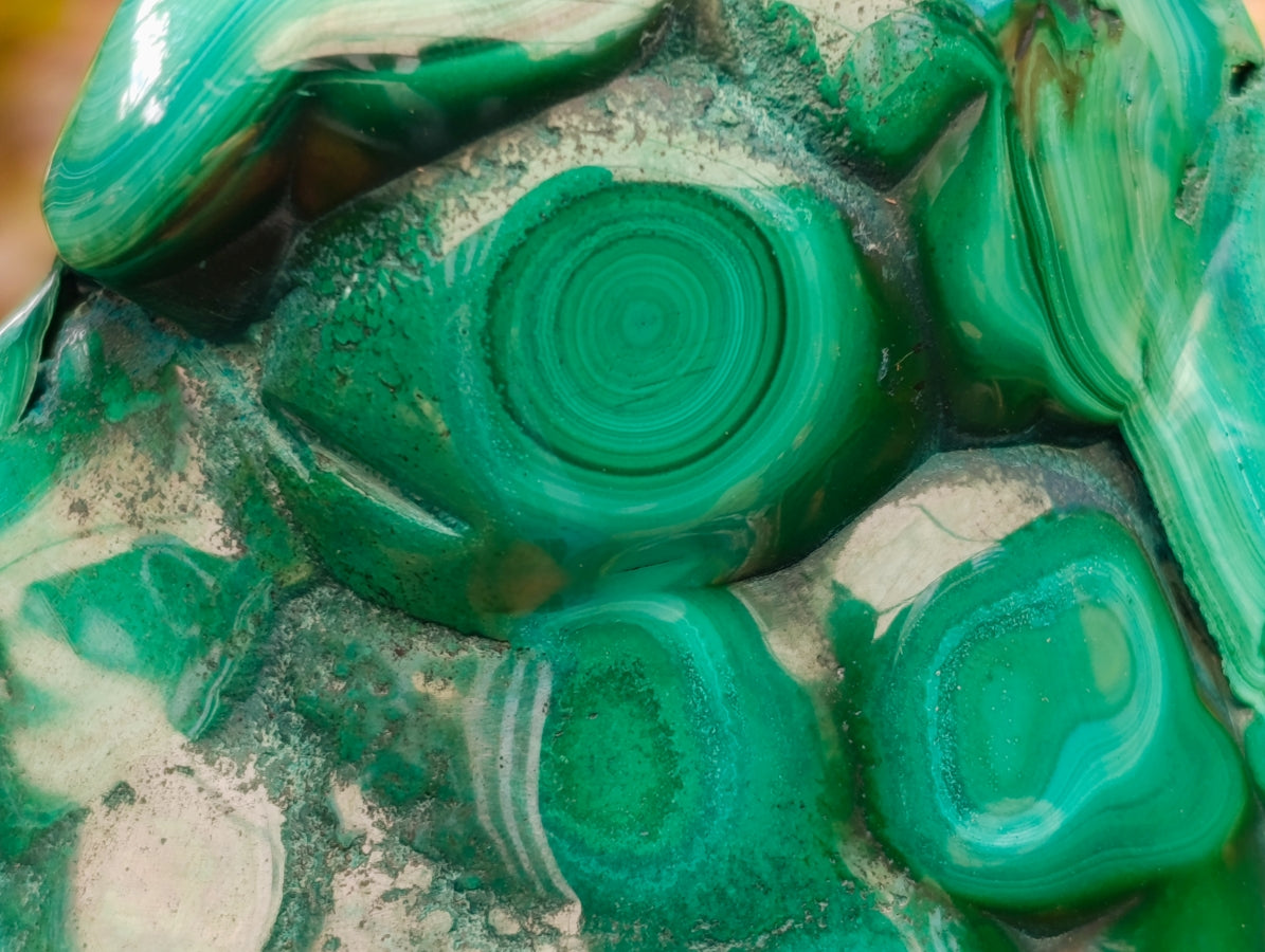 Polished Flower Banded Malachite Free Forms x 4 From Congo