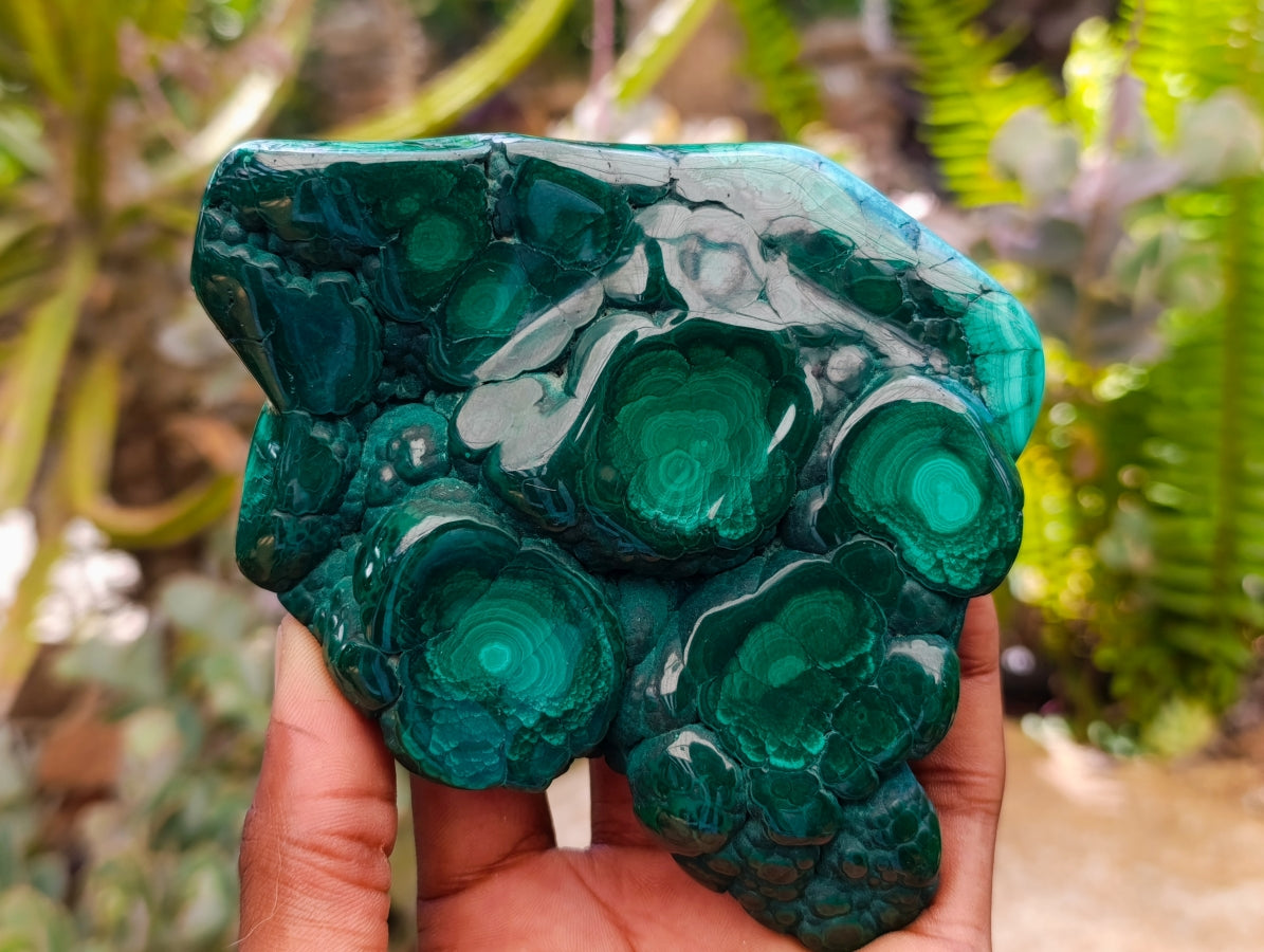 Polished Flower Banded Malachite Free Forms x 4 From Congo