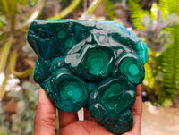 Polished Flower Banded Malachite Free Forms x 4 From Congo