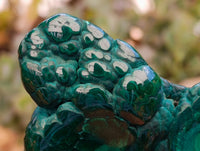 Polished Flower Banded Malachite Free Forms x 4 From Congo