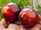 Polished Carnelian Agate Gemstone Spheres x 6 From Madagascar