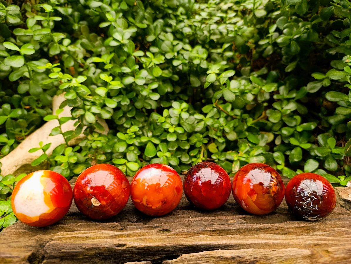 Polished Carnelian Agate Gemstone Spheres x 6 From Madagascar