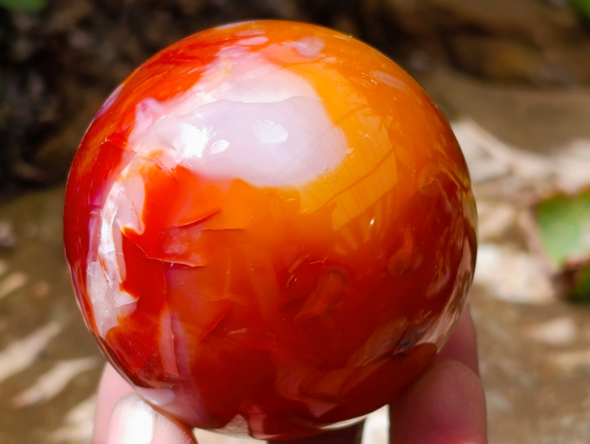 Polished Carnelian Agate Gemstone Spheres x 6 From Madagascar