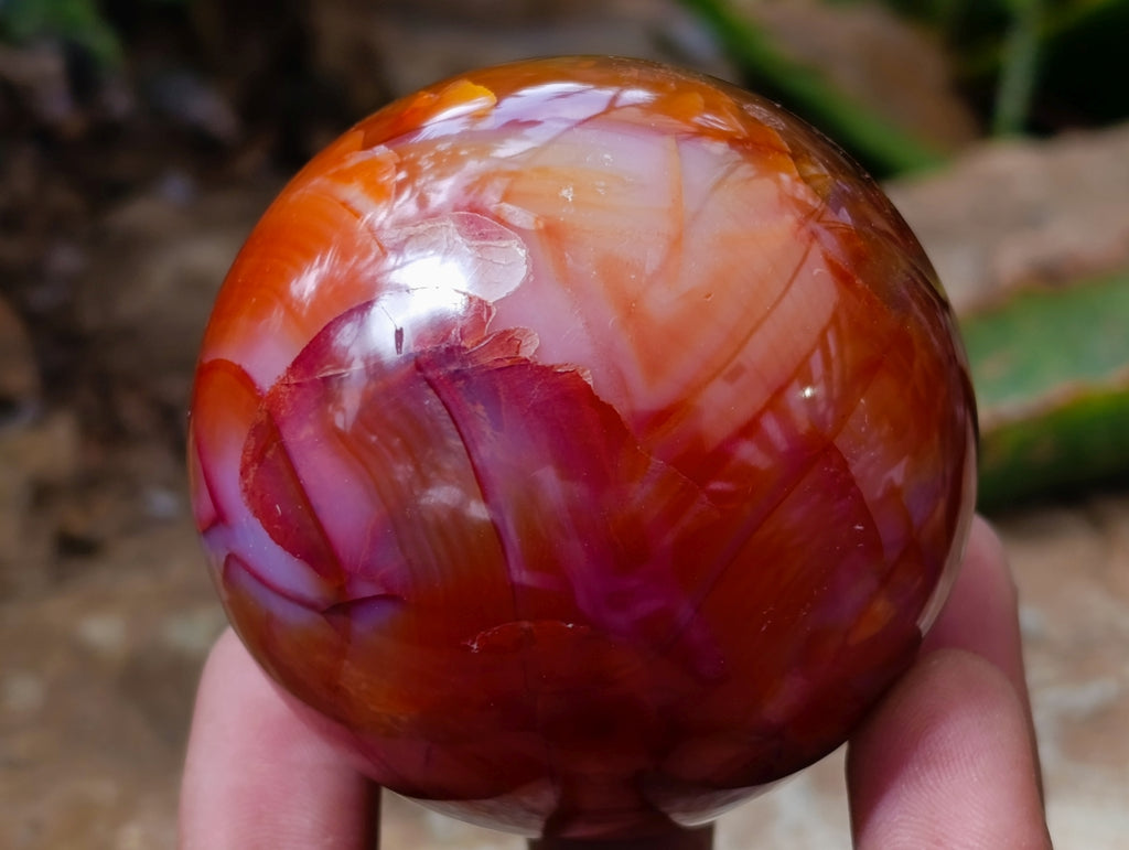 Polished Carnelian Agate Gemstone Spheres x 6 From Madagascar