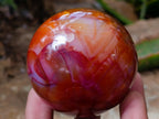 Polished Carnelian Agate Gemstone Spheres x 6 From Madagascar