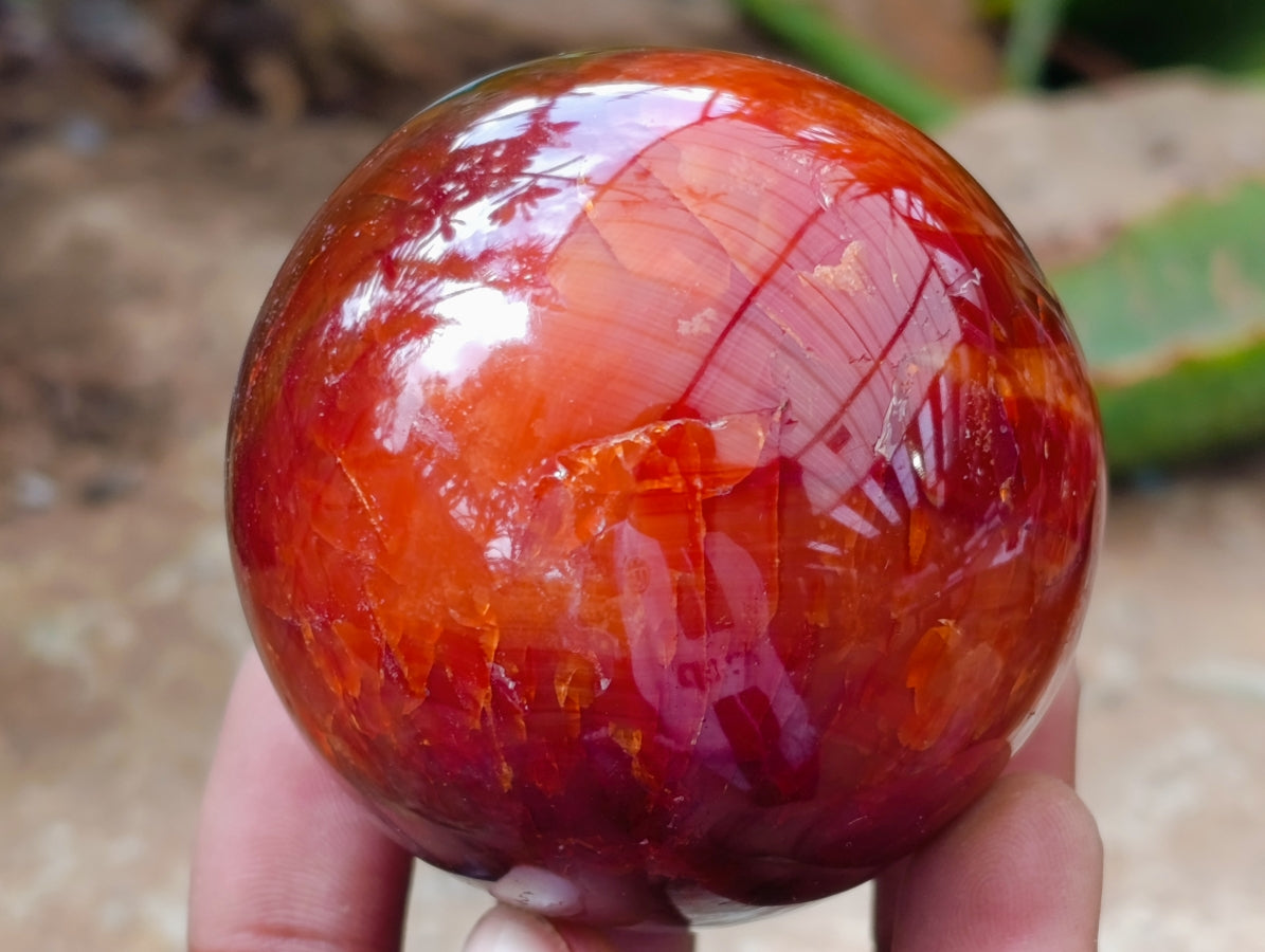 Polished Carnelian Agate Gemstone Spheres x 6 From Madagascar