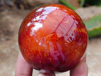 Polished Carnelian Agate Gemstone Spheres x 6 From Madagascar