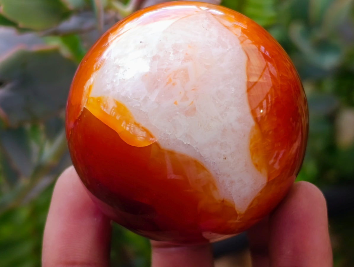Polished Carnelian Agate Gemstone Spheres x 6 From Madagascar