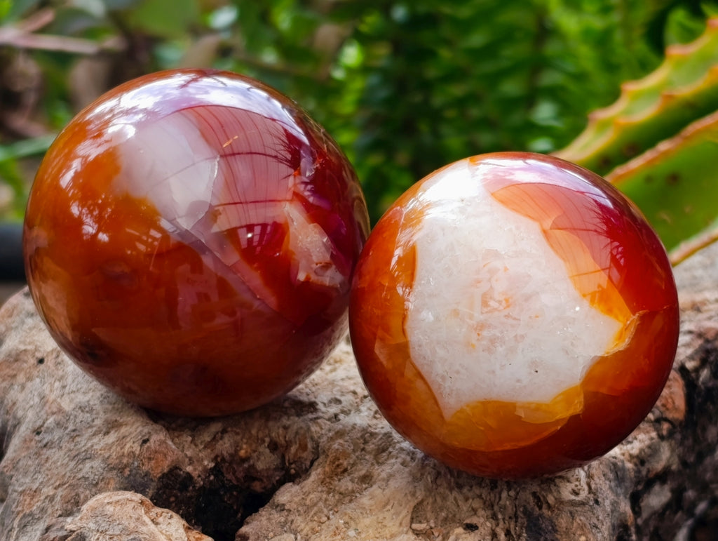 Polished Carnelian Agate Gemstone Spheres x 6 From Madagascar