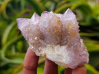 Natural Drusy Amethyst Spirit Clusters x 6 From Boekenhouthoek, South Africa