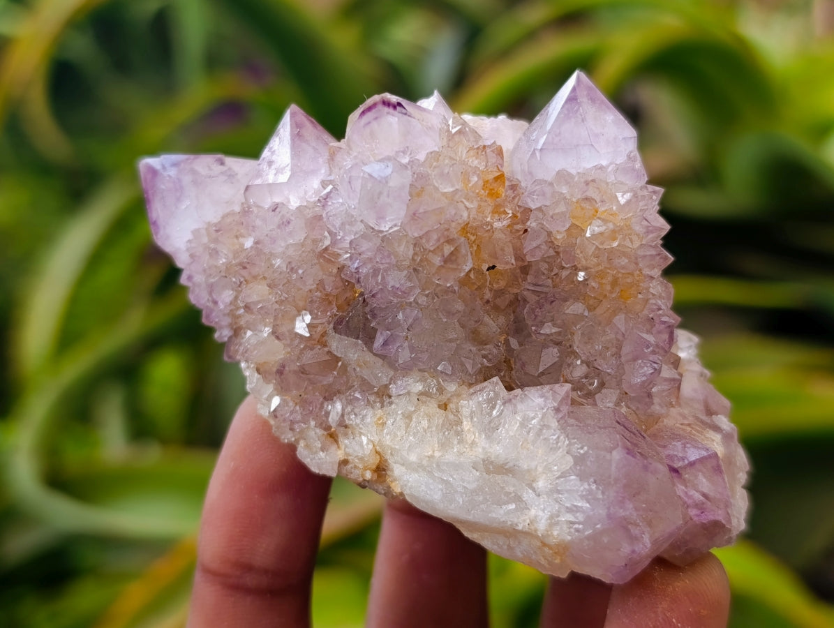 Natural Drusy Amethyst Spirit Clusters x 6 From Boekenhouthoek, South Africa