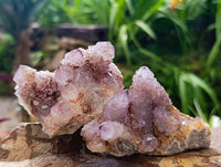 Natural Drusy Amethyst Spirit Clusters x 6 From Boekenhouthoek, South Africa