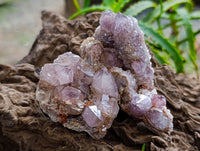 Natural Drusy Amethyst Spirit Clusters x 6 From Boekenhouthoek, South Africa