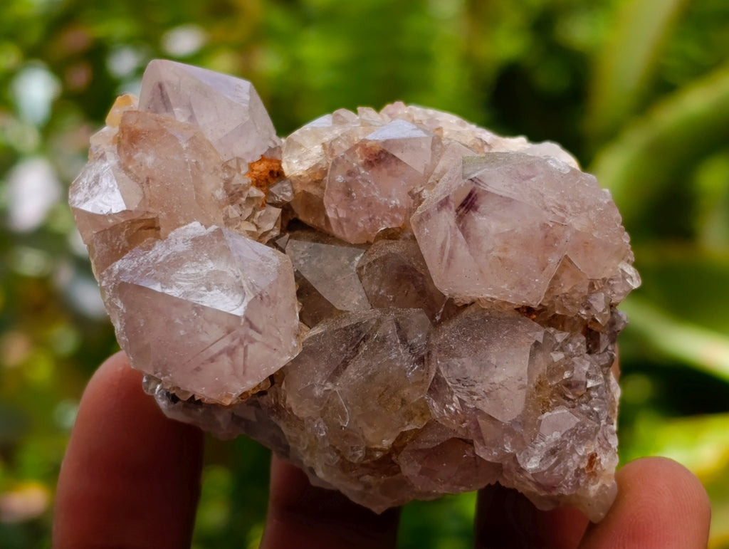 Natural Drusy Amethyst Spirit Clusters x 6 From Boekenhouthoek, South Africa