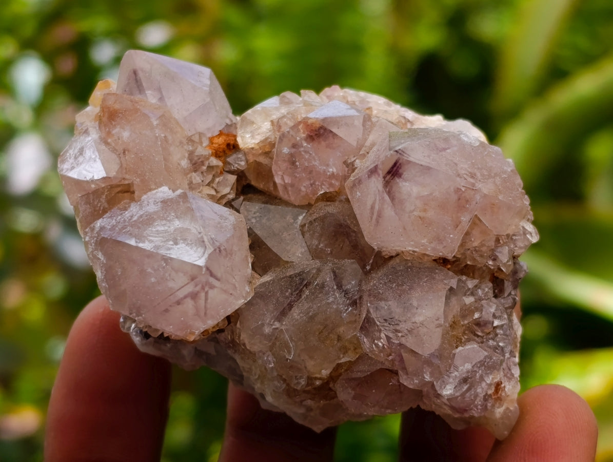 Natural Drusy Amethyst Spirit Clusters x 6 From Boekenhouthoek, South Africa