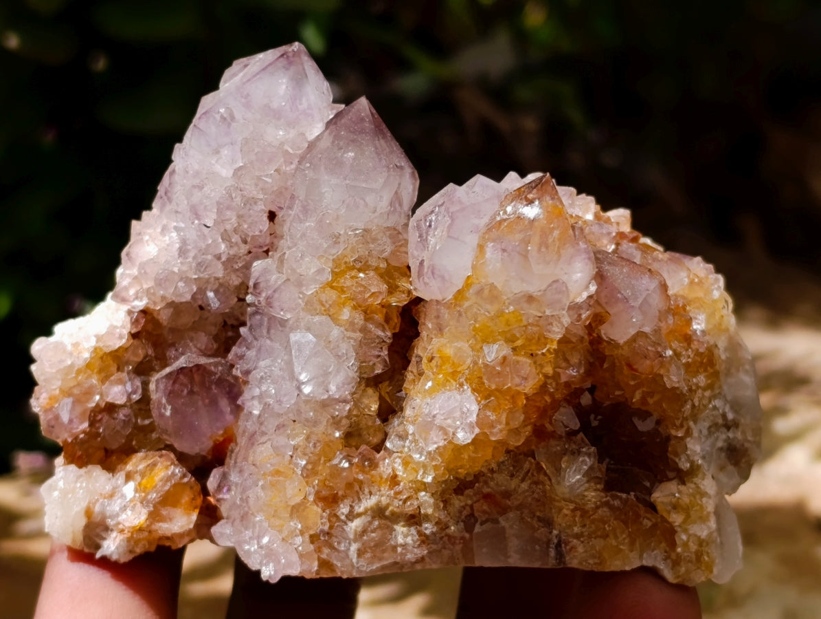 Natural Drusy Amethyst Spirit Clusters x 6 From Boekenhouthoek, South Africa