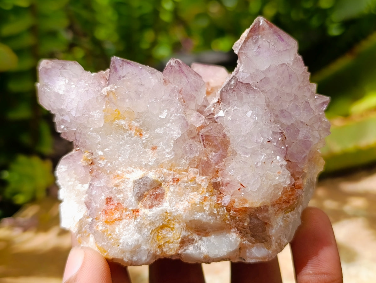 Natural Drusy Amethyst Spirit Clusters x 6 From Boekenhouthoek, South Africa