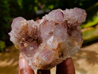 Natural Drusy Amethyst Spirit Clusters x 6 From Boekenhouthoek, South Africa