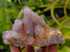 Natural Drusy Amethyst Spirit Clusters x 6 From Boekenhouthoek, South Africa