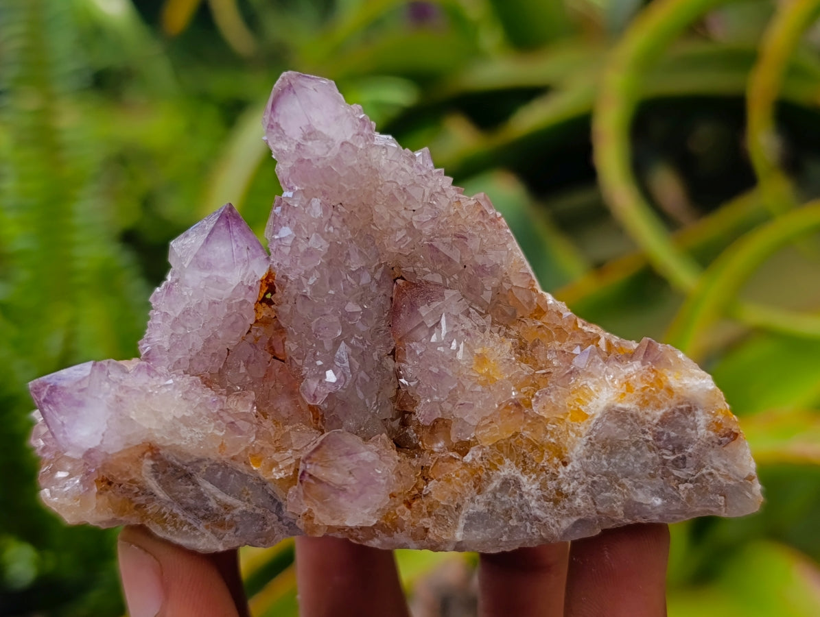 Natural Drusy Amethyst Spirit Clusters x 6 From Boekenhouthoek, South Africa