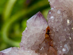 Natural Drusy Amethyst Spirit Clusters x 6 From Boekenhouthoek, South Africa