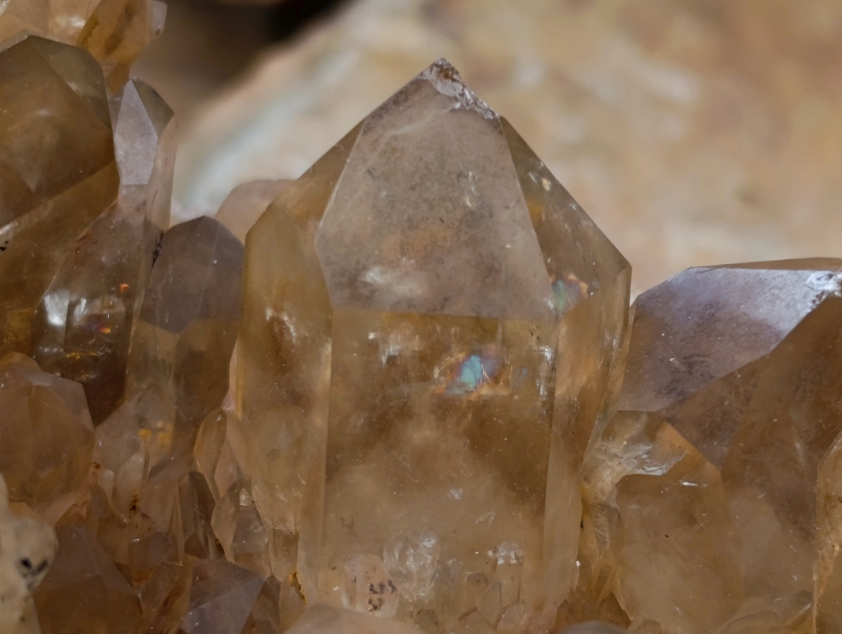 Natural Clear Smokey Citrine Quartz Clusters x 2 From Luena, Congo
