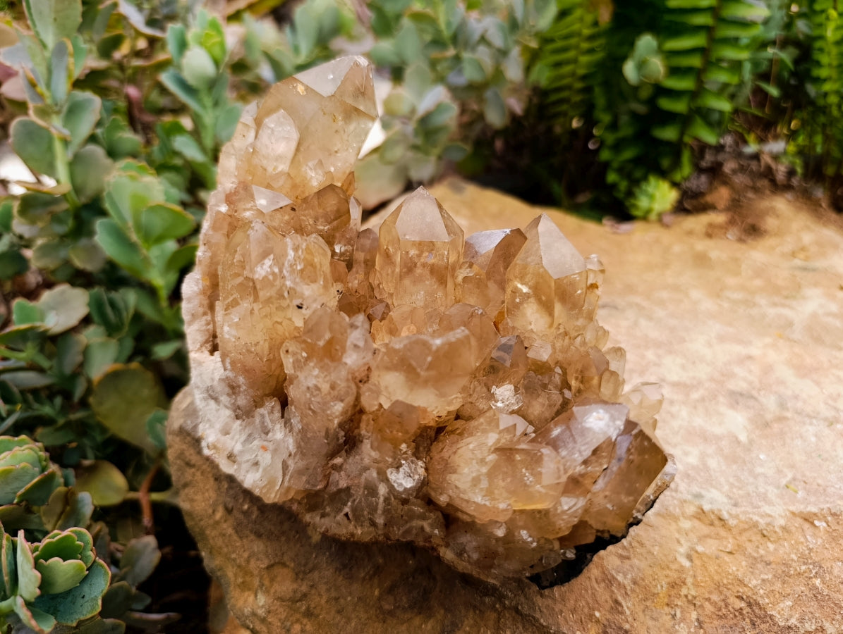 Natural Clear Smokey Citrine Quartz Clusters x 2 From Luena, Congo