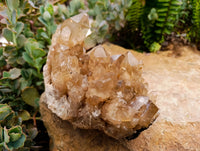 Natural Clear Smokey Citrine Quartz Clusters x 2 From Luena, Congo