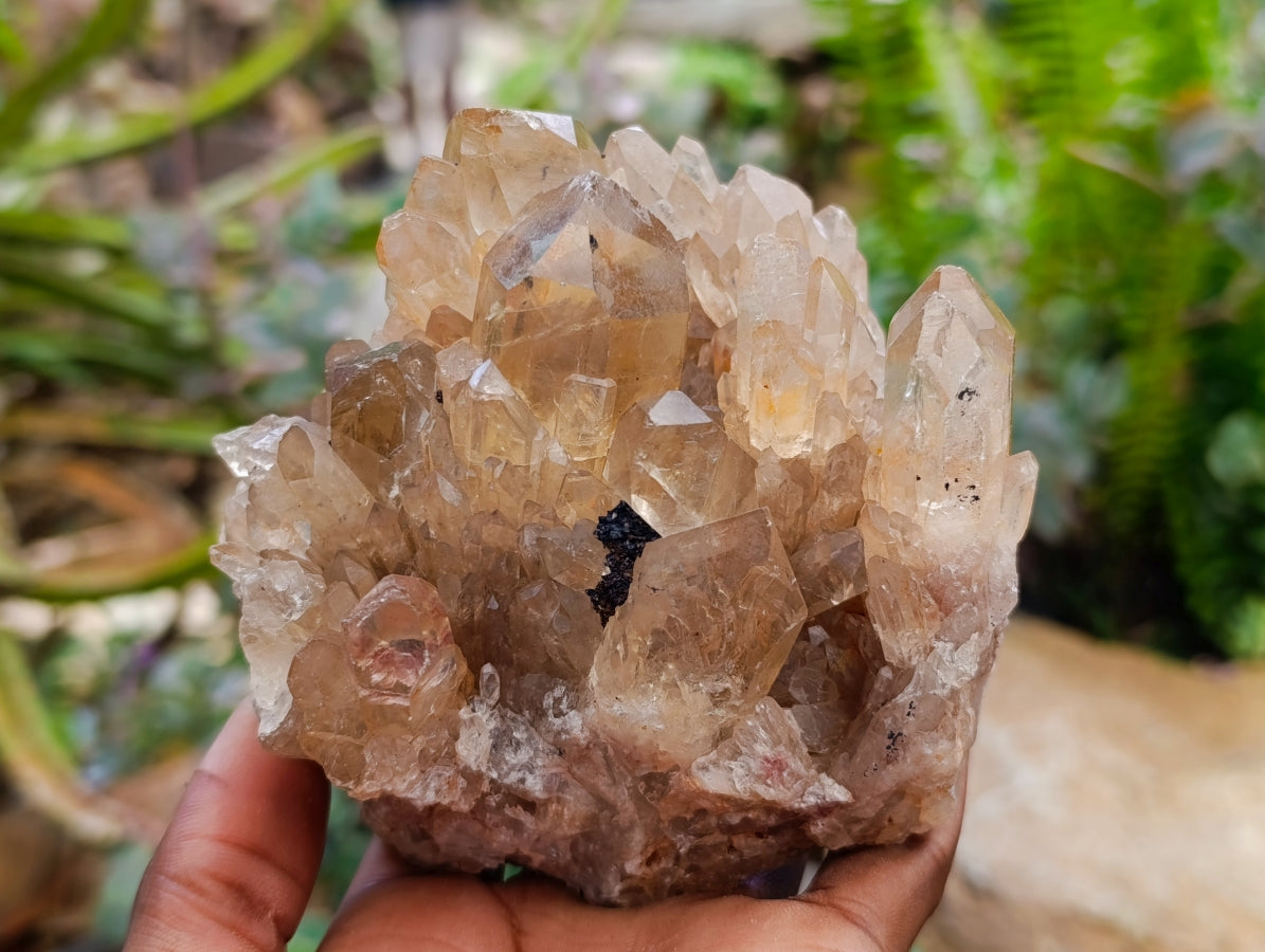 Natural Clear Smokey Citrine Quartz Clusters x 2 From Luena, Congo