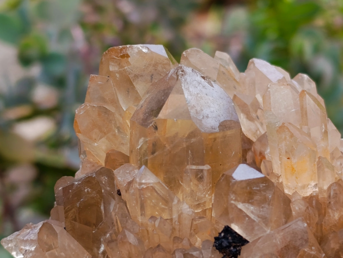 Natural Clear Smokey Citrine Quartz Clusters x 2 From Luena, Congo