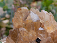Natural Clear Smokey Citrine Quartz Clusters x 2 From Luena, Congo
