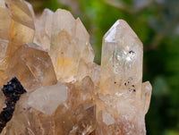 Natural Clear Smokey Citrine Quartz Clusters x 2 From Luena, Congo