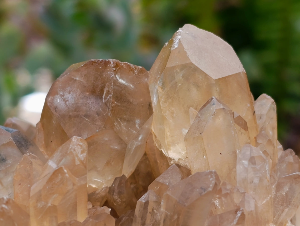 Natural Clear Smokey Citrine Quartz Clusters x 2 From Luena, Congo