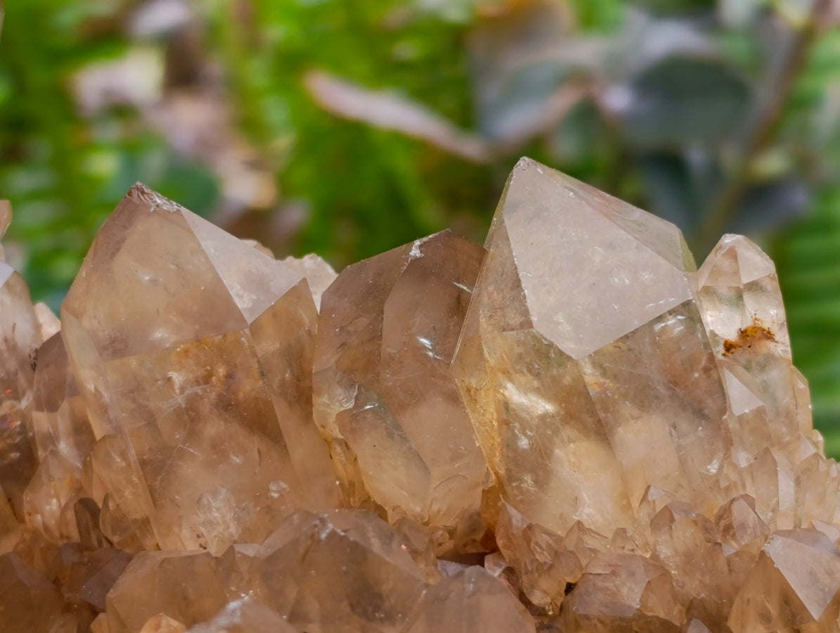 Natural Clear Smokey Citrine Quartz Clusters x 2 From Luena, Congo