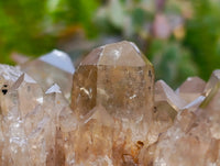 Natural Clear Smokey Citrine Quartz Clusters x 2 From Luena, Congo