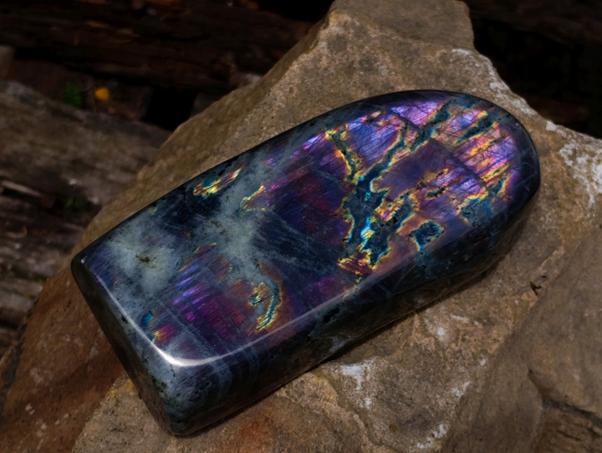 Polished Rare Purple Sunset Flash Labradorite Standing Free Forms x 2 From Madagascar - Toprock Gemstones and Minerals 