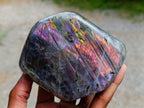 Polished Rare Purple Sunset Flash Labradorite Standing Free Forms x 2 From Madagascar - Toprock Gemstones and Minerals 
