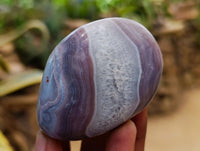 Polished Red Shashe River Agate Galets x 12 From Shashe River, Zimbabwe