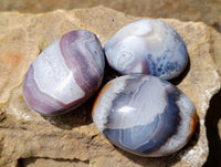 Polished Red Shashe River Agate Galets x 12 From Shashe River, Zimbabwe