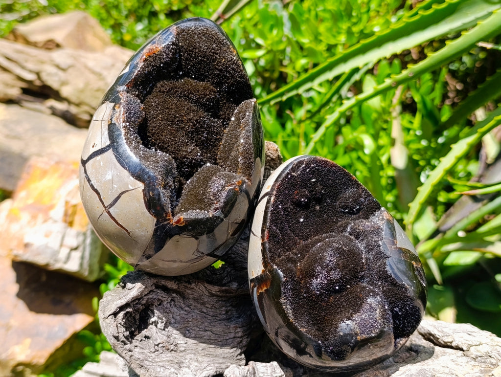 Polished Septerye Sauvage "Dragons Egg" Geodes x 2 From Mahajanga, Madagascar