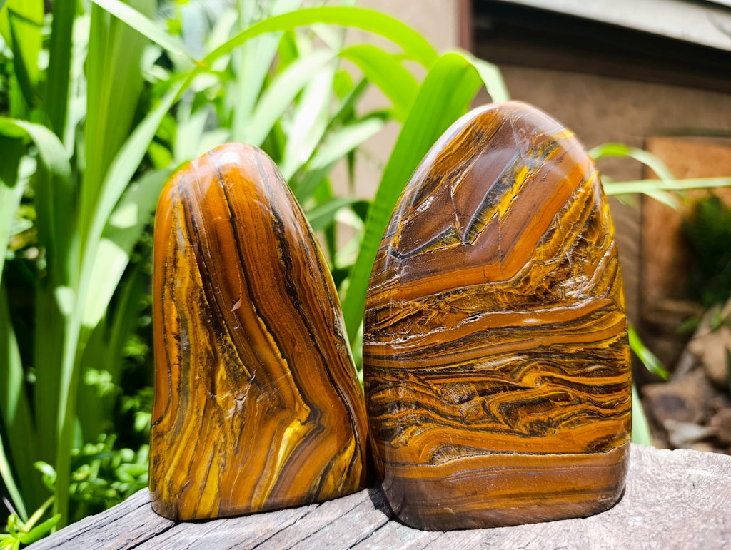 Polished Golden Tigers Eye With Banded Iron Stone Standing Free Forms x 2 From Prieska, South Africa