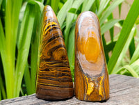 Polished Golden Tigers Eye With Banded Iron Stone Standing Free Forms x 2 From Prieska, South Africa