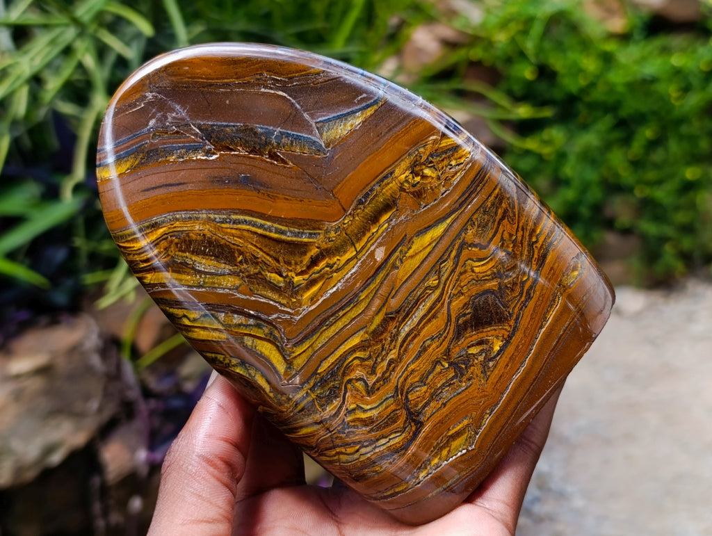 Polished Golden Tigers Eye With Banded Iron Stone Standing Free Forms x 2 From Prieska, South Africa