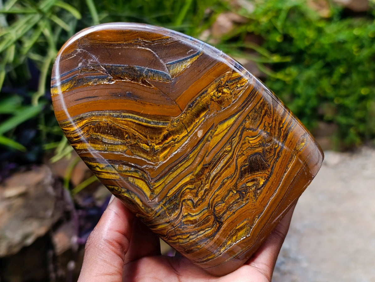 Polished Golden Tigers Eye With Banded Iron Stone Standing Free Forms x 2 From Prieska, South Africa