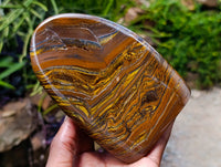 Polished Golden Tigers Eye With Banded Iron Stone Standing Free Forms x 2 From Prieska, South Africa