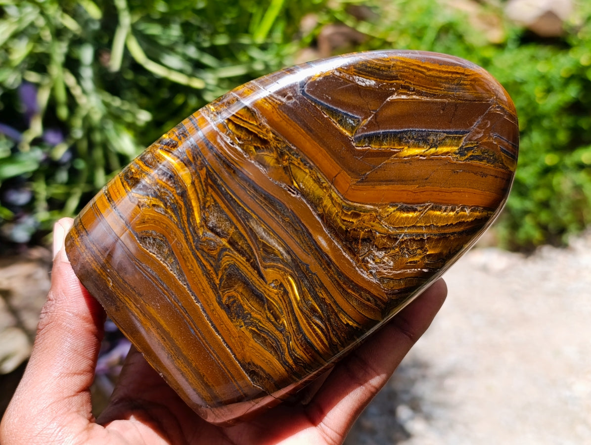 Polished Golden Tigers Eye With Banded Iron Stone Standing Free Forms x 2 From Prieska, South Africa