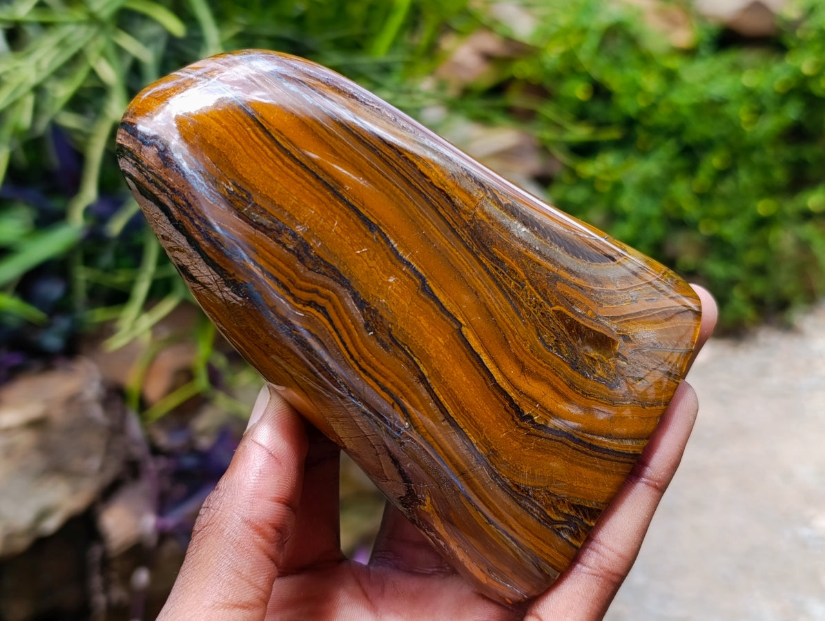 Polished Golden Tigers Eye With Banded Iron Stone Standing Free Forms x 2 From Prieska, South Africa