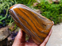 Polished Golden Tigers Eye With Banded Iron Stone Standing Free Forms x 2 From Prieska, South Africa