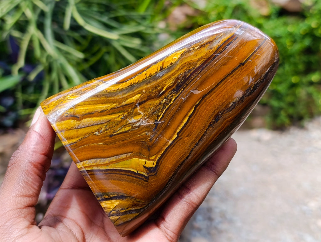 Polished Golden Tigers Eye With Banded Iron Stone Standing Free Forms x 2 From Prieska, South Africa